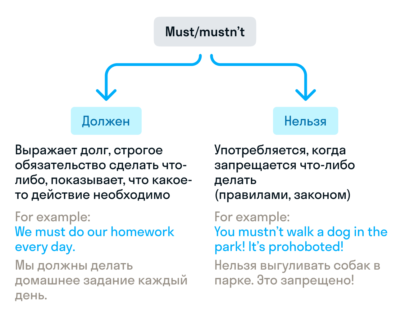 ГДЗ номер 1 с.73 по английскому языку 3 класса Кузовлев Рабочая тетрадь —  Skysmart Решения