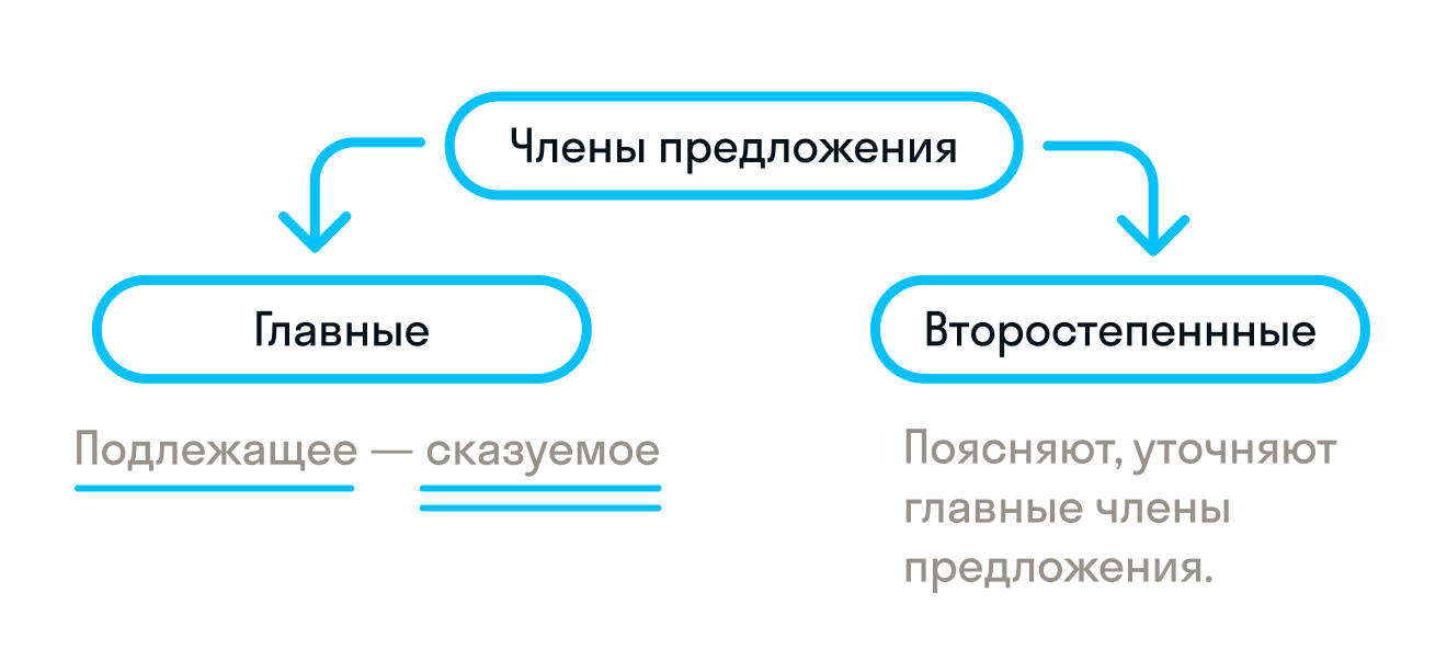 ГДЗ номер 11 /3 с.9 по русскому языку 3 класса Климанова Учебник (часть 2)  — Skysmart Решения