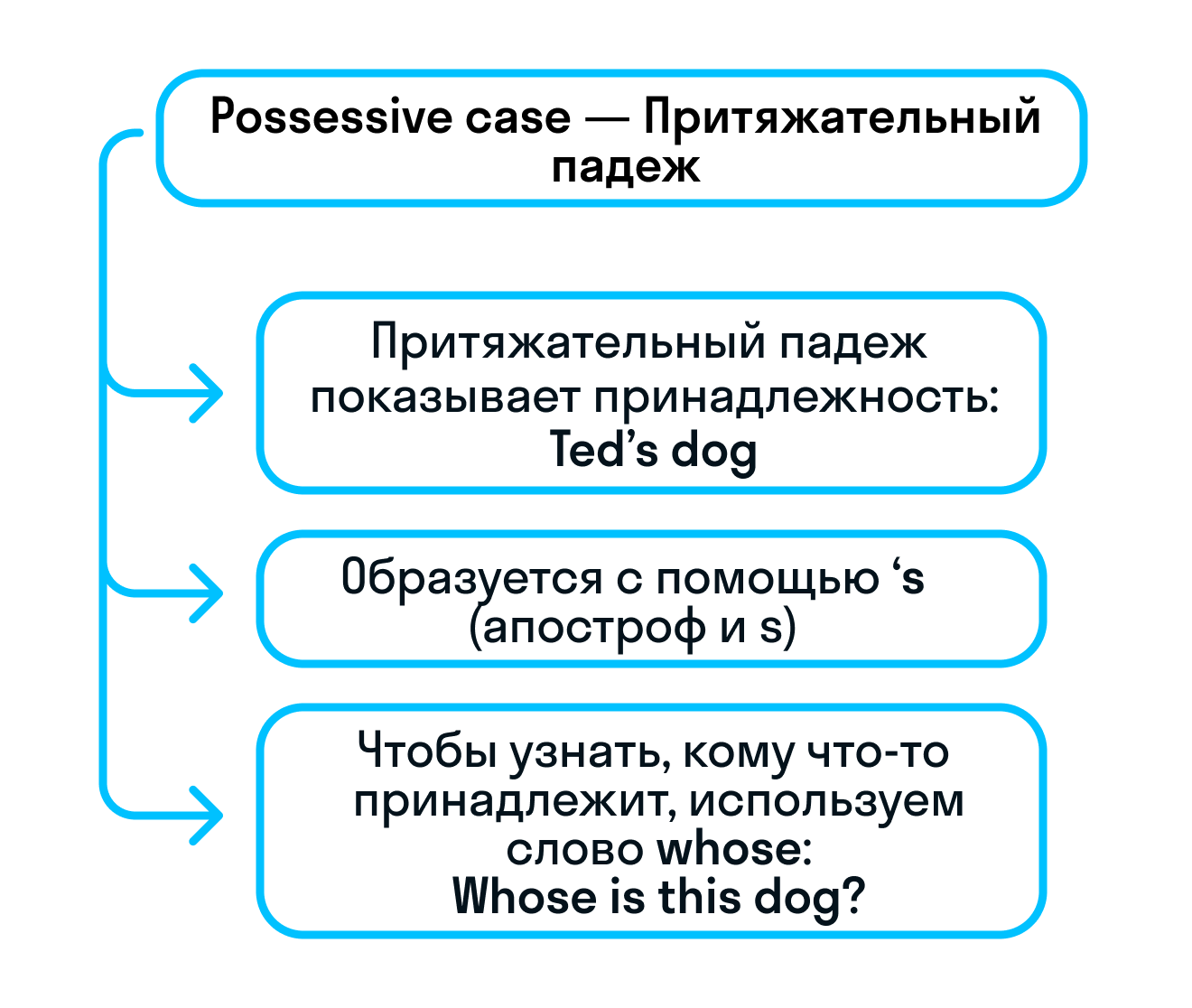 ГДЗ номер 4 с.33 по английскому языку 3 класса Быкова Рабочая тетрадь —  Skysmart Решения