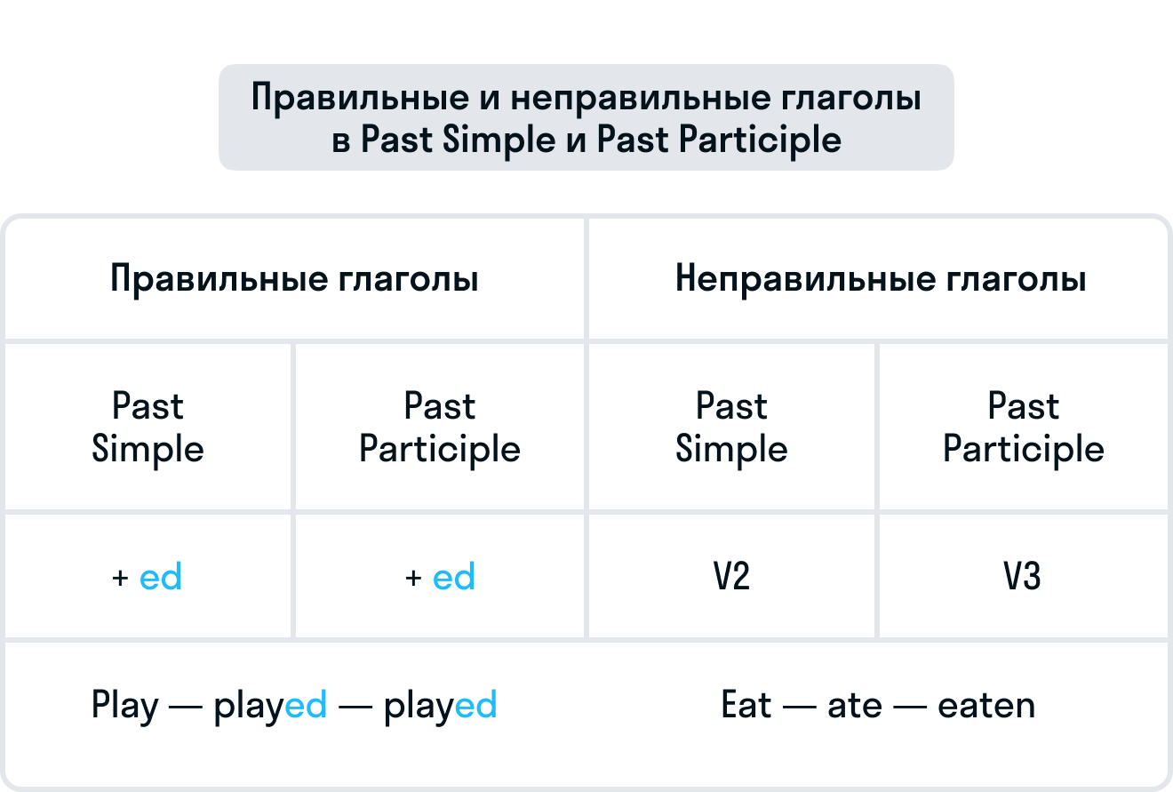 ГДЗ номер 16 с.55 по английскому языку 4 класса Биболетова Учебник —  Skysmart Решения