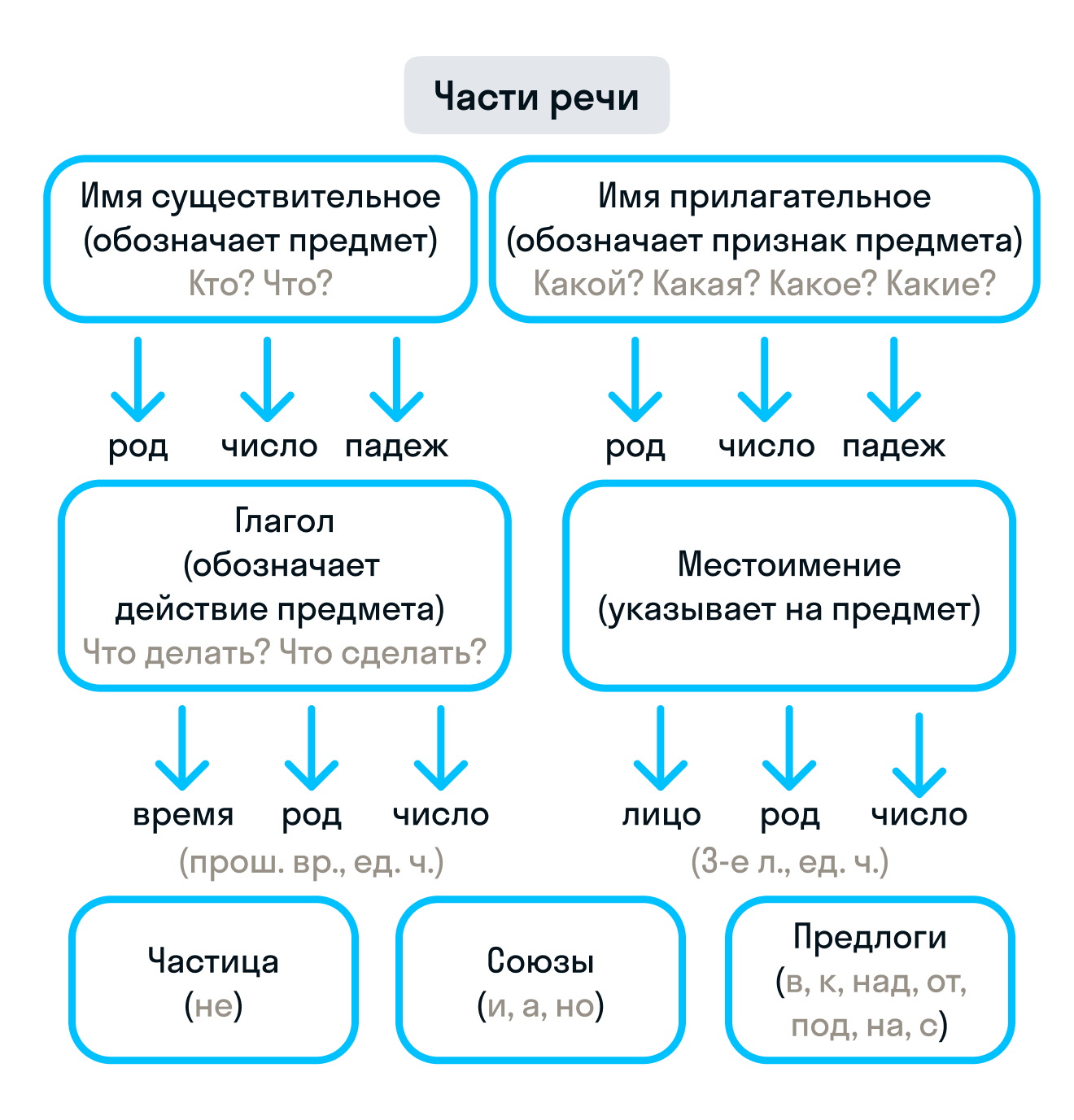 ГДЗ номер 107 /1 с.50 по русскому языку 2 класса Канакина Рабочая тетрадь (часть  2) — Skysmart Решения