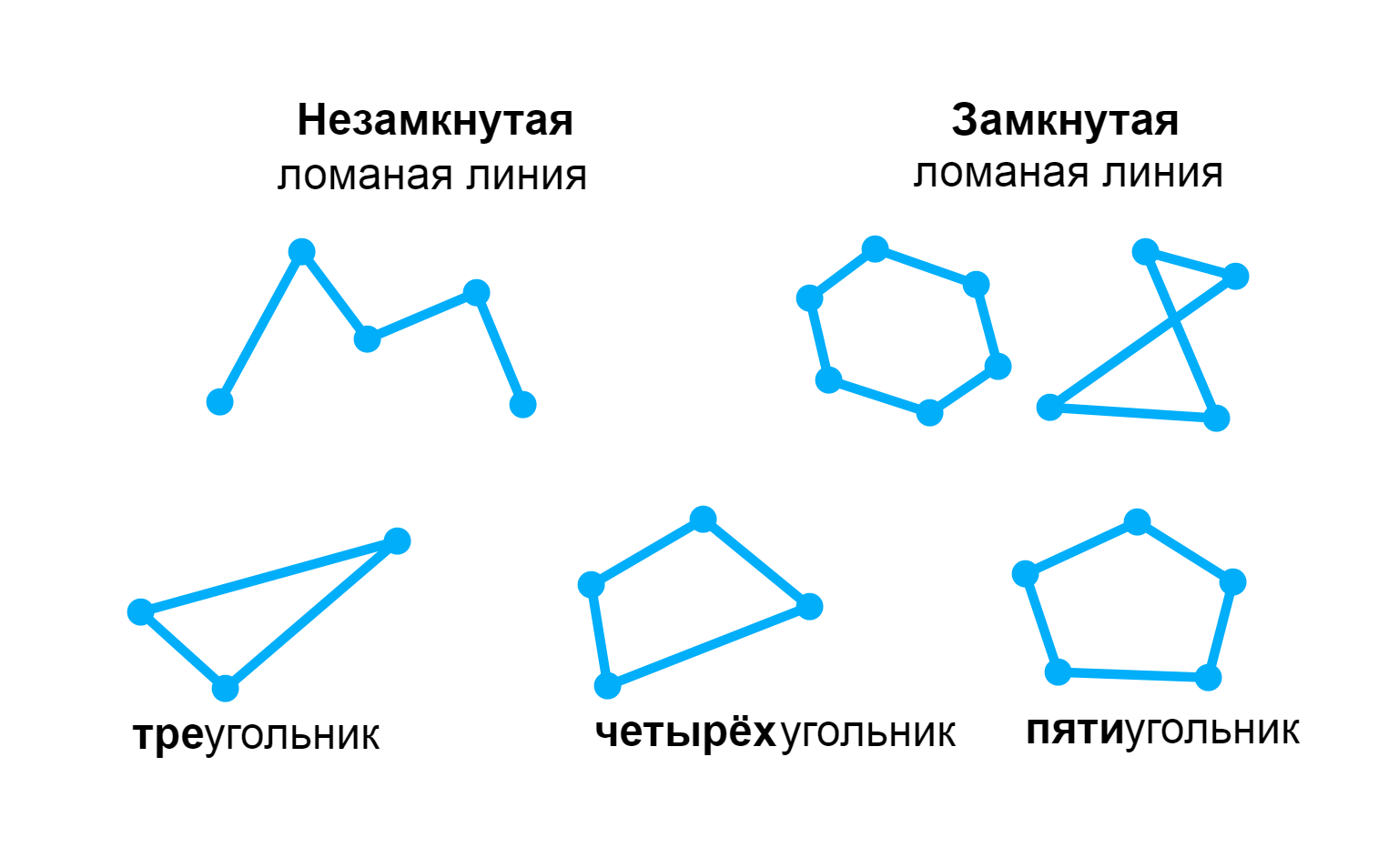 Многоугольник ломаная 7 класс