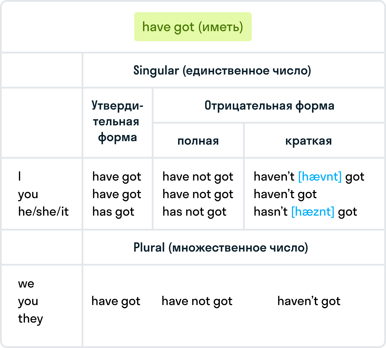 Have had правило в английском языке