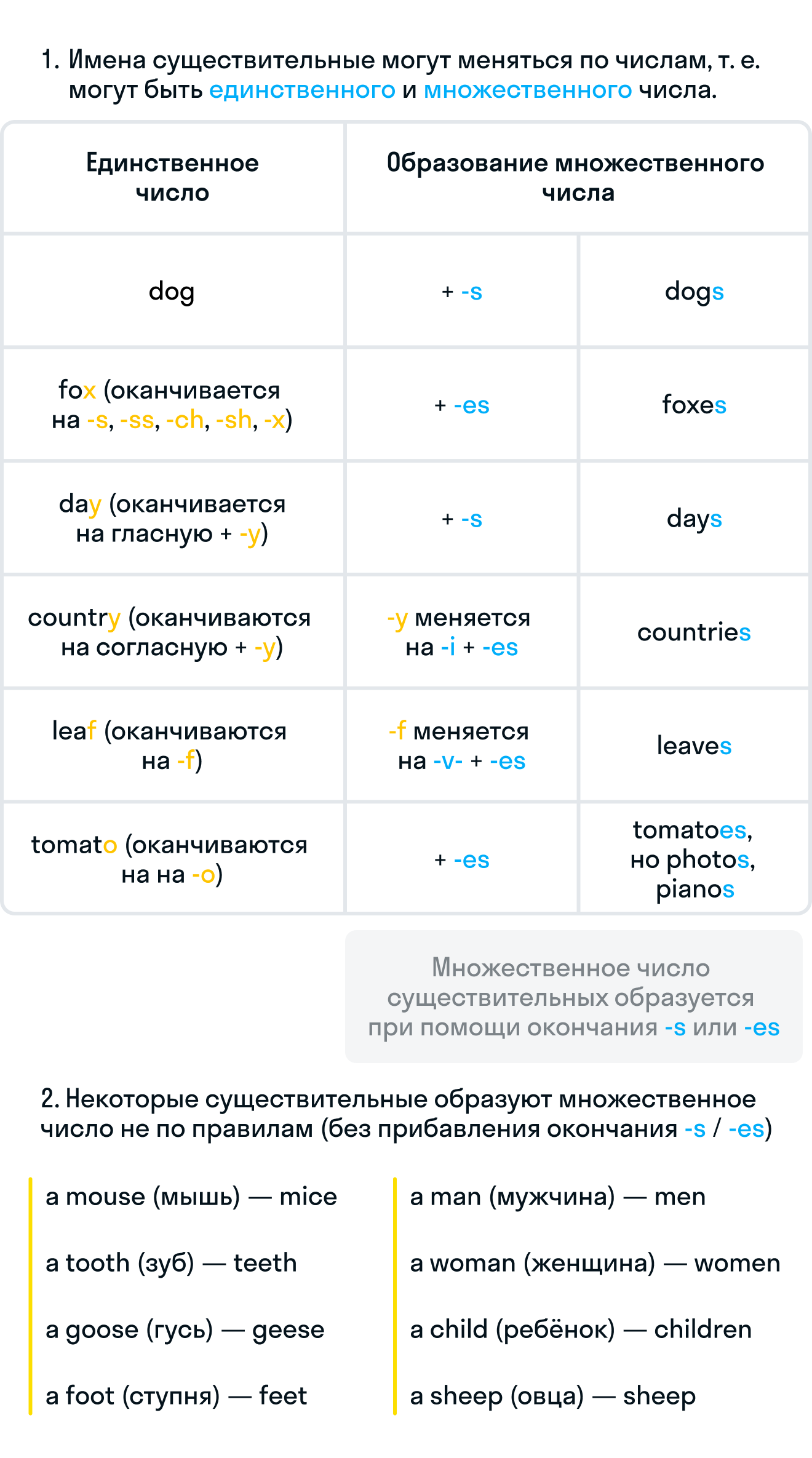 ГДЗ номер 4 с.5 по английскому языку 4 класса Быкова Сборник упражнений —  Skysmart Решения