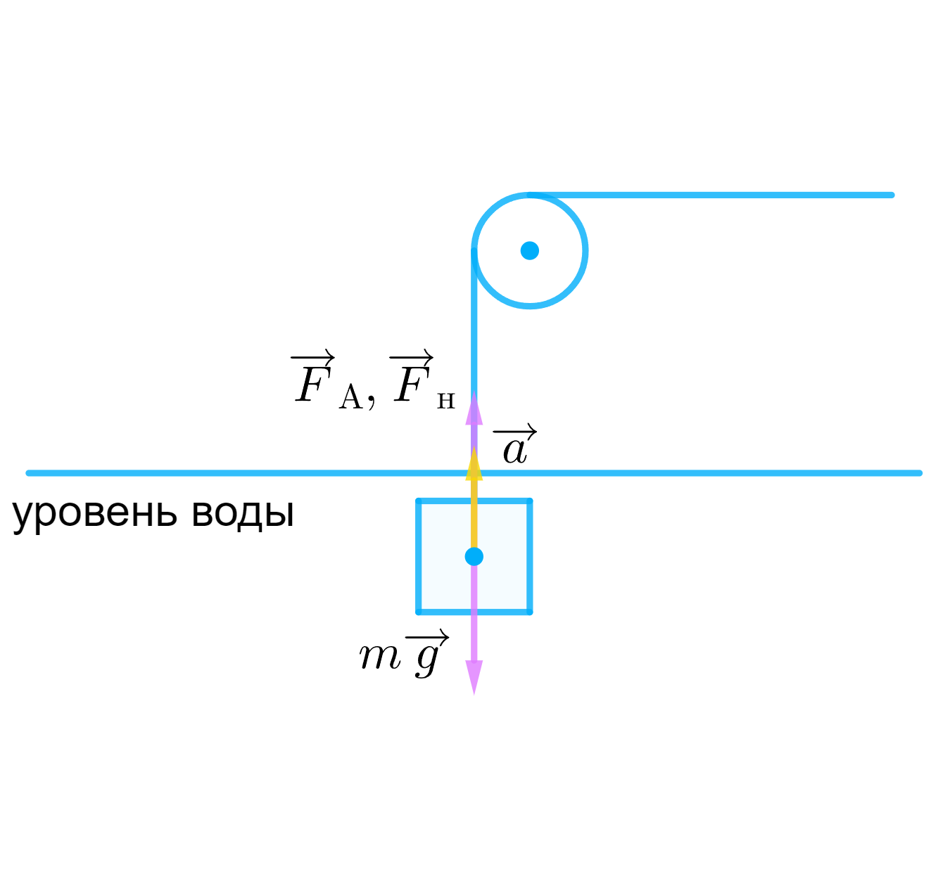 ГДЗ Номер 334 С.49 По Физике 10 Класса Рымкевич Ответы И Решебник.